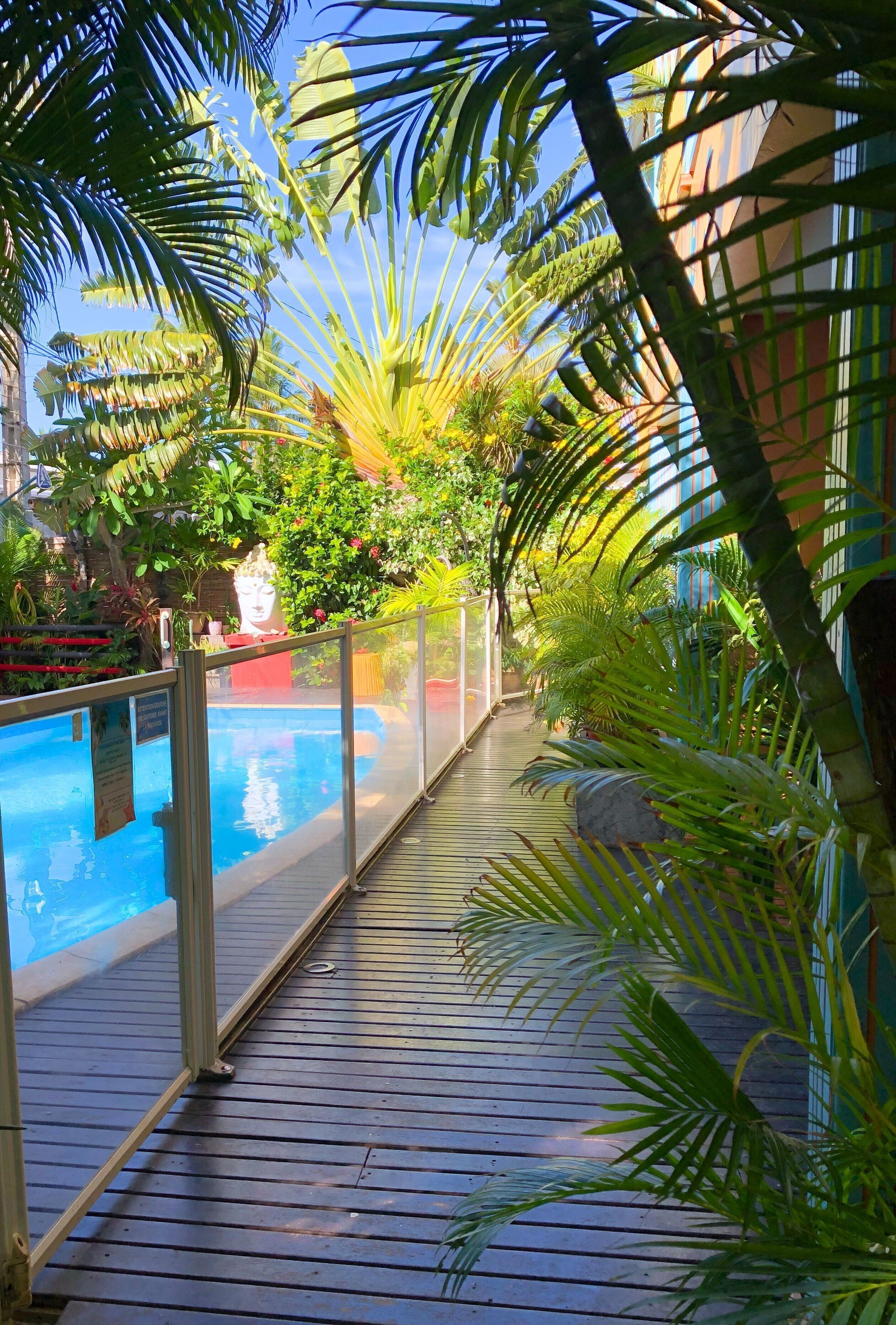 Piscine extérieure, chaises longues