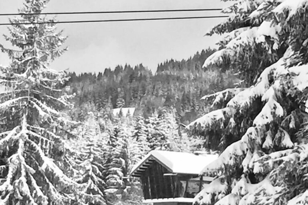 La Taniere - spacious ski-in/ski-out apartment in Les Gets located on the piste