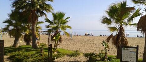 Plage à proximité, chaises longues, serviettes de plage