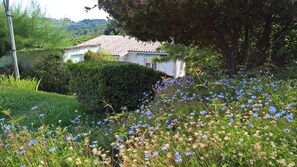 Terrain de l’hébergement 