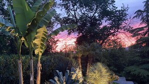 Un jardín con terraza de madera, diversas plantas y un atardecer al fondo.