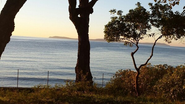 A coastal view with trees and a fence in the foreground. - House / Villa - Rayol-Canadel-sur-Mer (Rayol-Canadel-Sur-Mer)