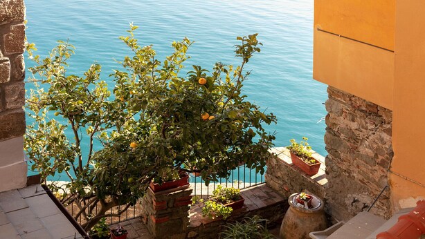 A balcony with a view of the sea, potted plants, and a stone wall. - Romantic Seaview Double Room (Corniglia)