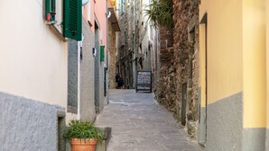 A narrow stone-paved alleyway with buildings on either side, a signboard for a bar, and a potted plant at the entrance. - Romantic Seaview Double Room (Corniglia)