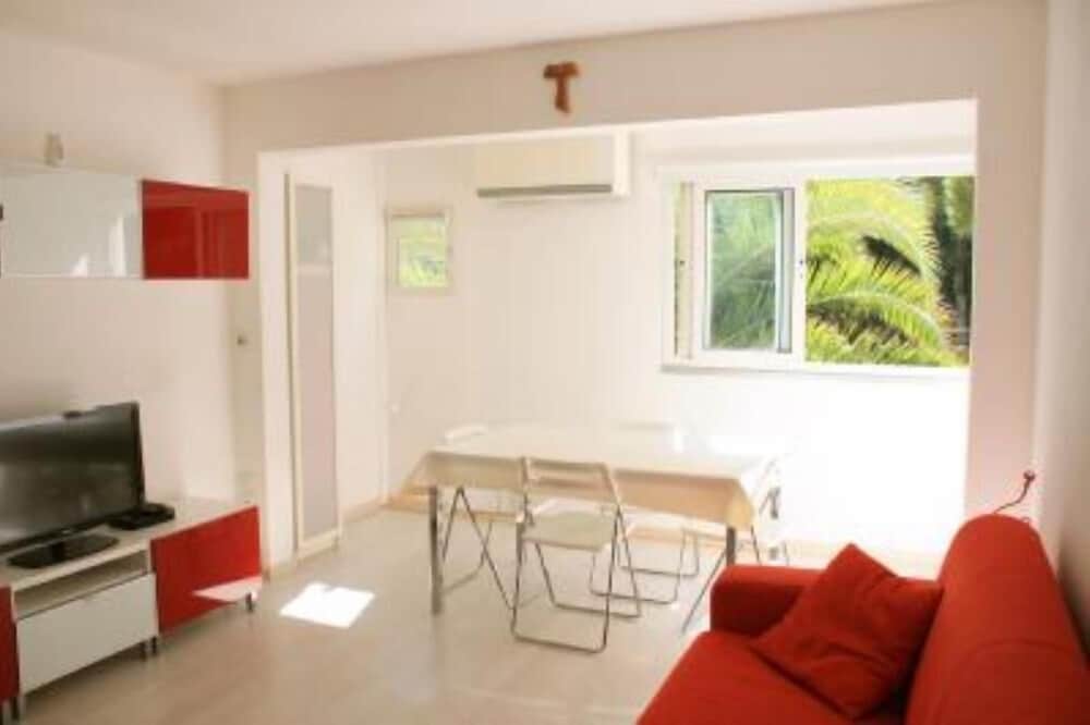 Estudio - Calvi