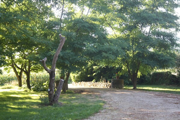 Property grounds