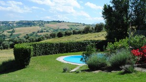 A swimming pool surrounded by a well-maintained lawn, with a view of rolling hills in the background. - Franca's House (Sant'Angelo in Pontano)