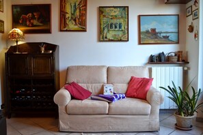 Televisor, llar de foc i reproductor de DVD 