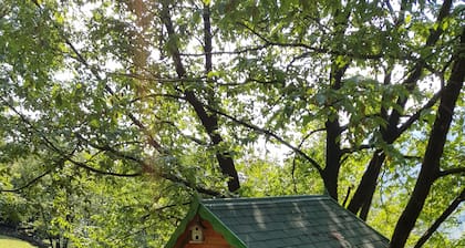 CHALET and Country cottage for 8 people