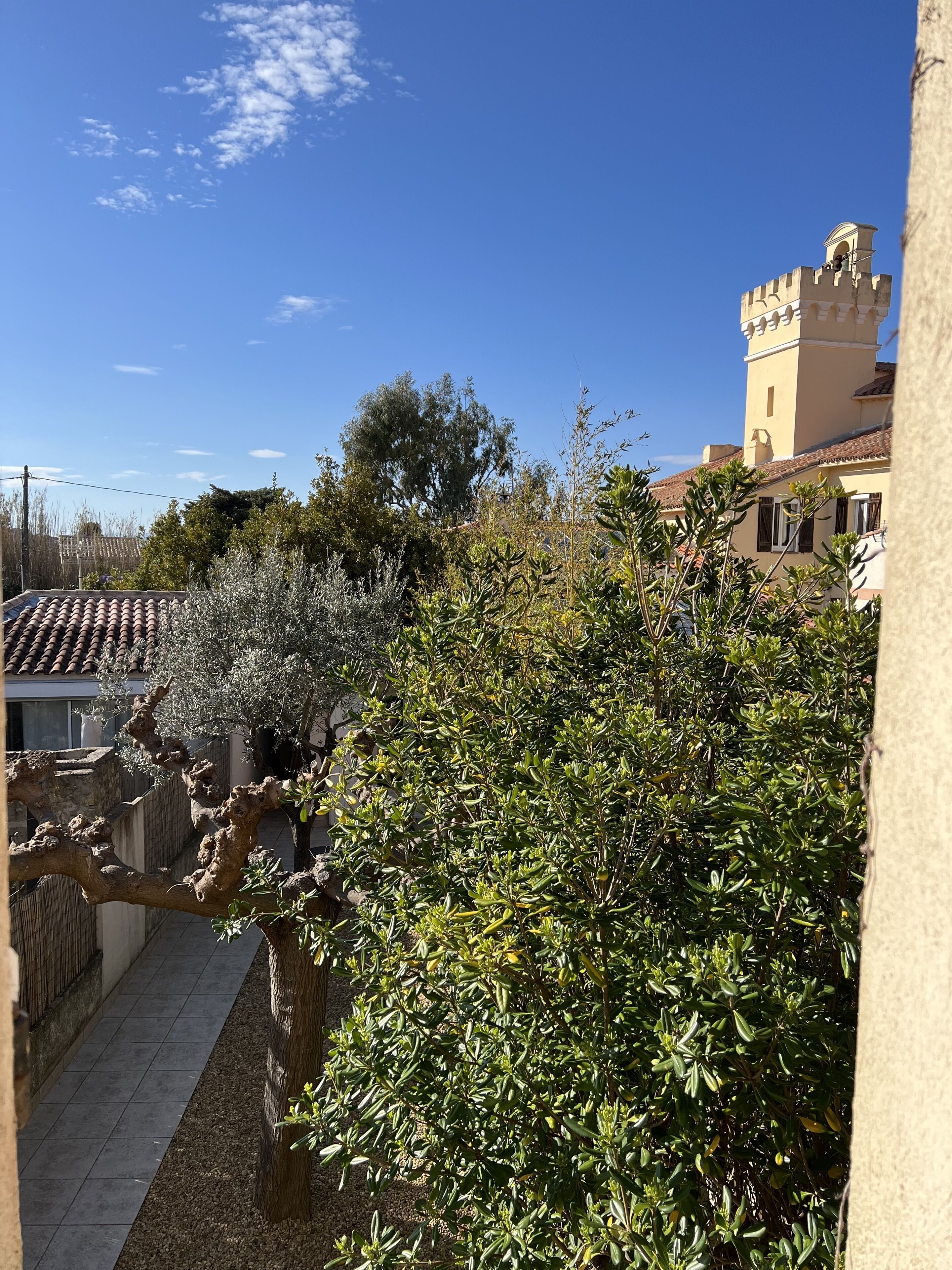 A courtyard with a variety of plants and a building with a tower.