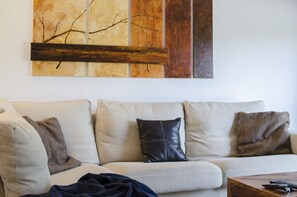 Fernseher, Kamin