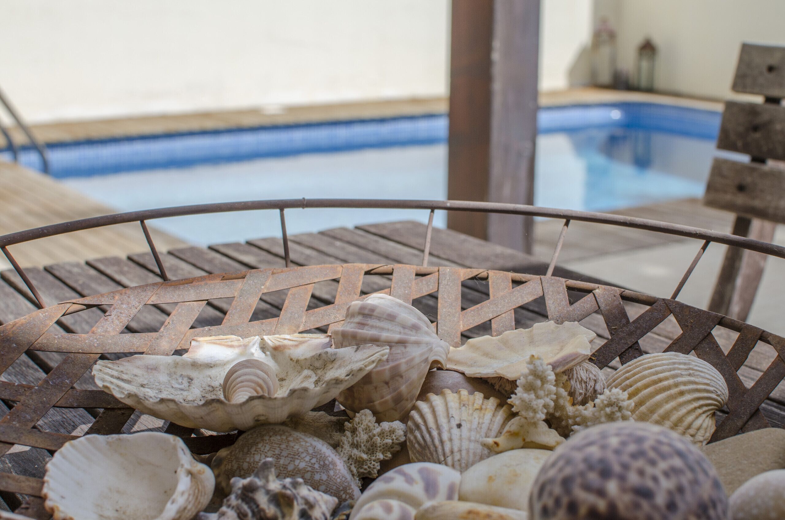 Ein Metallstuhl mit Gitterlehnen, im Hintergrund ein Pool und verschiedene Meeresschnecken auf dem Stuhl.