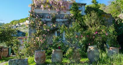 Appartement neuf dans une ancienne ferme