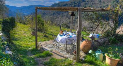 Iara – Relax nature and biking among olive trees and silence at Casa del Canto
