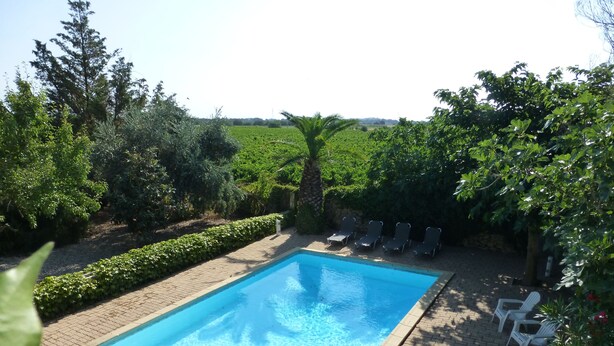 A rectangular swimming pool with clear blue water, surrounded by a paved deck.