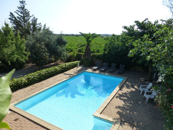 A rectangular swimming pool with clear blue water, surrounded by a paved deck.