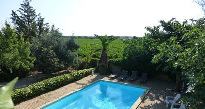 Gite avec piscine privée et vue sur les vignes sur le canal du midi