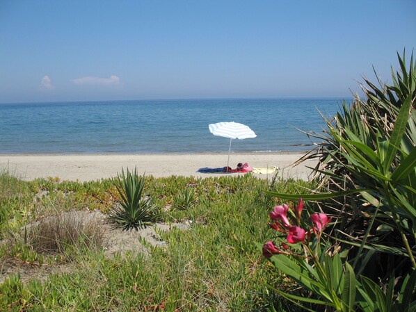 Plage, chaises longues