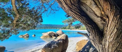 Una spiaggia nelle vicinanze