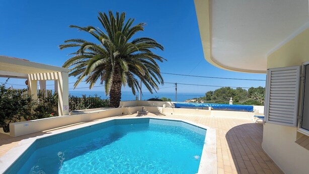 Ein Pool mit klarem, blauem Wasser, umgeben von einer gefliesten Terrasse, einer Palme und Blick auf das Meer.