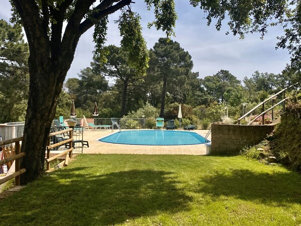 Une piscine entourée d’une pelouse, avec des arbres et une terrasse en bois en arrière-plan.