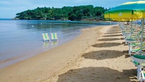 Une plage bordée d’une rangée de chaises de plage et de parasols, un rivage sablonneux et, au loin, une île couverte de forêt.