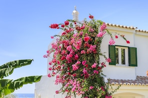 Exterior - CASAS DA PRAIA, 005 (Almancil)