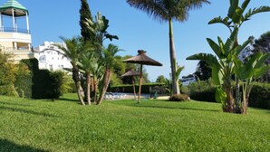 A well-maintained garden with palm trees, a thatched-roof gazebo, and a swimming pool area.