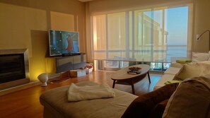 Télévision, cheminée, livres, vidéothèque
