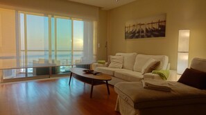 电视、壁炉、书、影片库