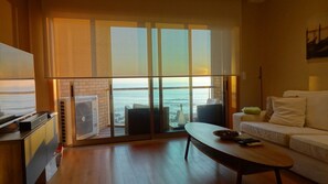 电视、壁炉、书、影片库