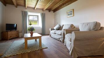 Tv, dvd-spelare, böcker och ett filmbibliotek