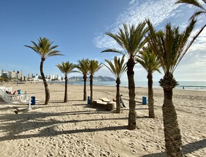 ビーチの近く、サンラウンジャー、ビーチタオル