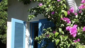 Een huis met blauwe luiken en een tuin vol paarse bloemen.