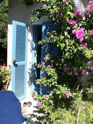 Detalhe da fachada