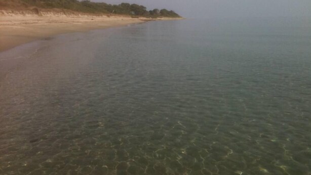 Een strand met helder ondiep water en een zandstrand.