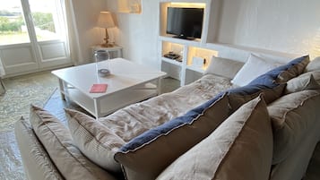Smart TV, fireplace, books, stereo