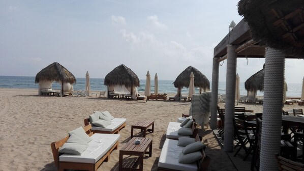 بالقرب من الشاطئ