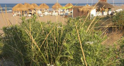 Vuonna rannalla. Huoneisto Xeraco