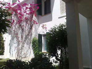 Detalle exterior