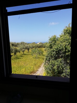 Blick aus dem Fenster auf ein Feld mit Bäumen und einem klaren Himmel.