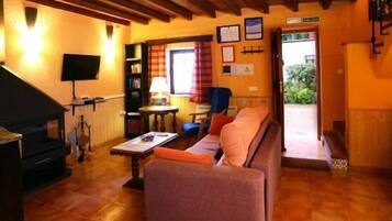 Een televisie, een open haard, een dvd-speler en boeken