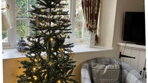 A cozy room with a Christmas tree, a plaid armchair, and a window with curtains. - COTSWOLD COTTAGE IN A QUIET VILLAGE WITH LARGE GARDEN (Great Rissington)