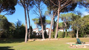 Um jardim com árvores altas, um muro de pedra e uma cadeira verde.