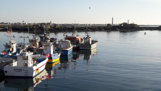 A harbor with boats docked, a lighthouse in the distance, and rocky shores. - Penmarch: Country Cottage / Gite - Penmarc'h (Penmarch)