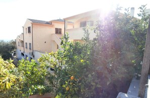 Situated amidst lush greenery, this building offers a serene atmosphere.