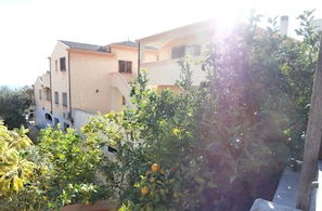 Parco della struttura
