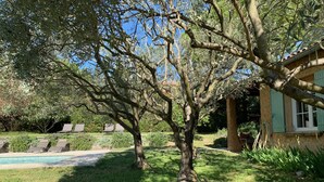 A tree-lined garden with a pool and a building with green shutters. - Charming villa, heated swimming pool, 4 to 8 persons (Mormoiron)
