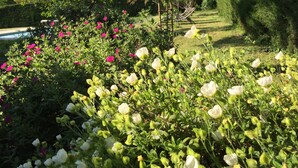 A garden with various plants and flowers, including pink and white blooms, and a neatly trimmed hedge in the background. - Charming villa, heated swimming pool, 4 to 8 persons (Mormoiron)