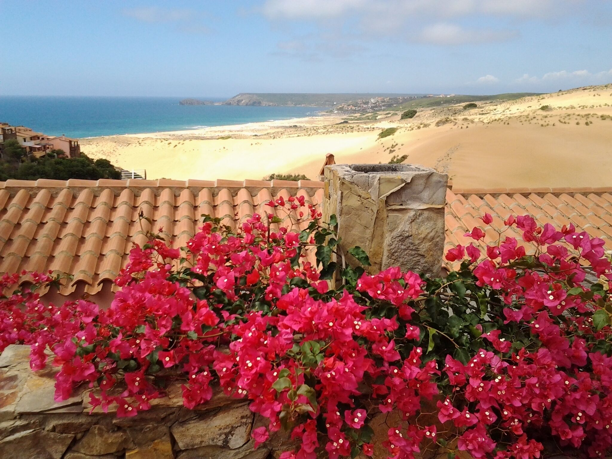 A coastal view with a beach, a stone wall with pink flowers, and a tiled roof.